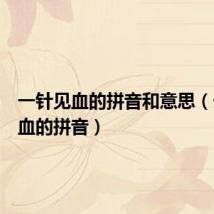 一针见血的拼音和意思(一针见血的拼音)