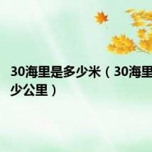 30海里是多少米(30海里等于多少公里)