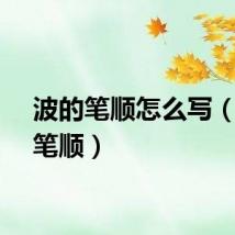 波的笔顺怎么写（波的笔顺）