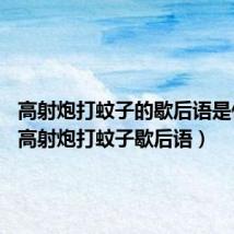 高射炮打蚊子的歇后语是什么?(高射炮打蚊子歇后语)
