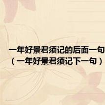 一年好景君须记的后面一句是什么(一年好景君须记下一句)