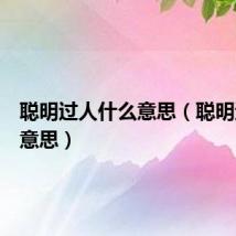 聪明过人什么意思(聪明过人的意思)