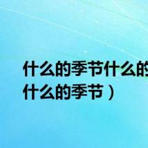 什么的季节什么的梦(什么的季节)