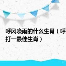 呼风唤雨的什么生肖(呼风唤雨打一最佳生肖)