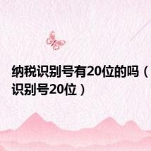 纳税识别号有20位的吗(纳税人识别号20位)