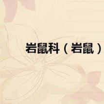 岩鼠科（岩鼠）