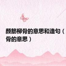 颜筋柳骨的意思和造句(颜筋柳骨的意思)