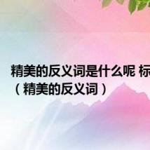 精美的反义词是什么呢 标准答案(精美的反义词)