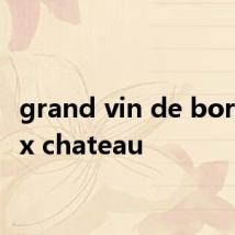 grand vin de bordeaux chateau