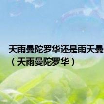 天雨曼陀罗华还是雨天曼陀罗华(天雨曼陀罗华)