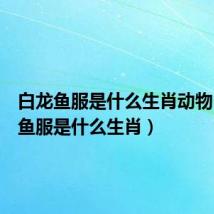 白龙鱼服是什么生肖动物(白龙鱼服是什么生肖)