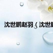 沈世鹏赵羽（沈世鹏）