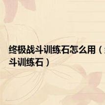 终极战斗训练石怎么用(终极战斗训练石)