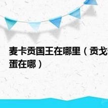 麦卡贡国王在哪里(贡戈麦什的蛋在哪)