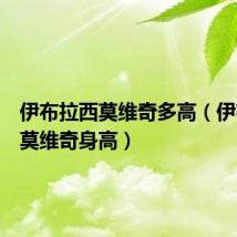 伊布拉西莫维奇多高(伊布拉希莫维奇身高)