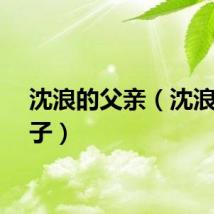 沈浪的父亲（沈浪的儿子）