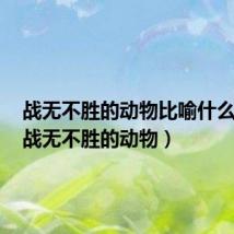 战无不胜的动物比喻什么生肖(战无不胜的动物)