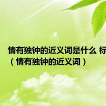 情有独钟的近义词是什么 标准答案(情有独钟的近义词)
