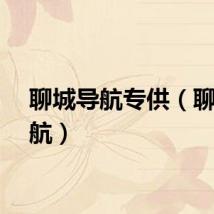 聊城导航专供（聊城导航）
