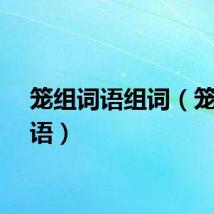 笼组词语组词（笼组词语）