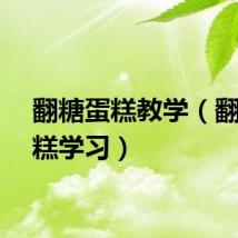 翻糖蛋糕教学（翻糖蛋糕学习）