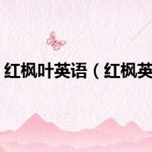 红枫叶英语(红枫英语)
