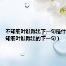 不知细叶谁裁出下一句是什么(不知细叶谁裁出的下一句)