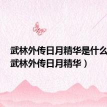 武林外传日月精华是什么样的(武林外传日月精华)