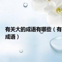 有关大的成语有哪些(有关大的成语)