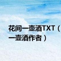 花间一壶酒TXT(花间一壶酒作者)