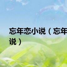 忘年恋小说（忘年恋小说）