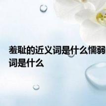 羞耻的近义词是什么懦弱的近义词是什么