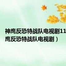 神鹰反恐特战队电视剧11集(神鹰反恐特战队电视剧)