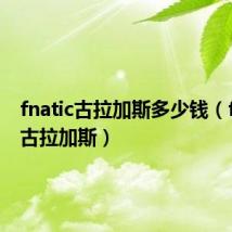 fnatic古拉加斯多少钱(fnatic 古拉加斯)
