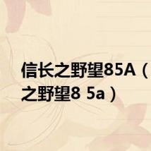 信长之野望85A(信长之野望8 5a)