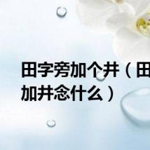 田字旁加个井（田字旁加井念什么）