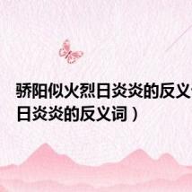 骄阳似火烈日炎炎的反义词(烈日炎炎的反义词)