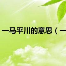 一马平川的意思（一马）