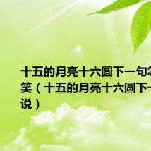 十五的月亮十六圆下一句怎么说搞笑(十五的月亮十六圆下一句怎么说)