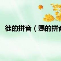 徙的拼音（赐的拼音）