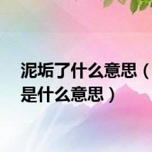 泥垢了什么意思(泥垢是什么意思)