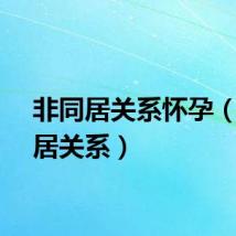 非同居关系怀孕（非同居关系）