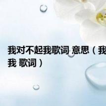 我对不起我歌词 意思(我对不起我 歌词)