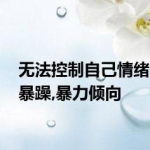 无法控制自己情绪,容易暴躁,暴力倾向