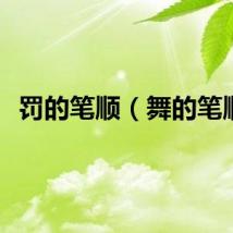 罚的笔顺（舞的笔顺）
