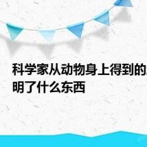 科学家从动物身上得到的启示发明了什么东西