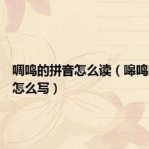 啁鸣的拼音怎么读(嗥鸣的拼音怎么写)