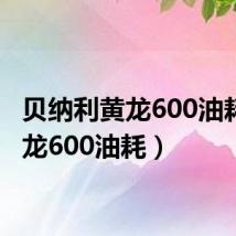 贝纳利黄龙600油耗(黄龙600油耗)