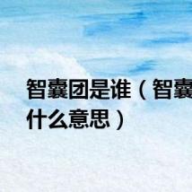 智囊团是谁（智囊团是什么意思）