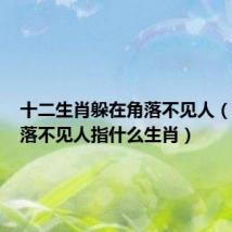 十二生肖躲在角落不见人(躲在角落不见人指什么生肖)